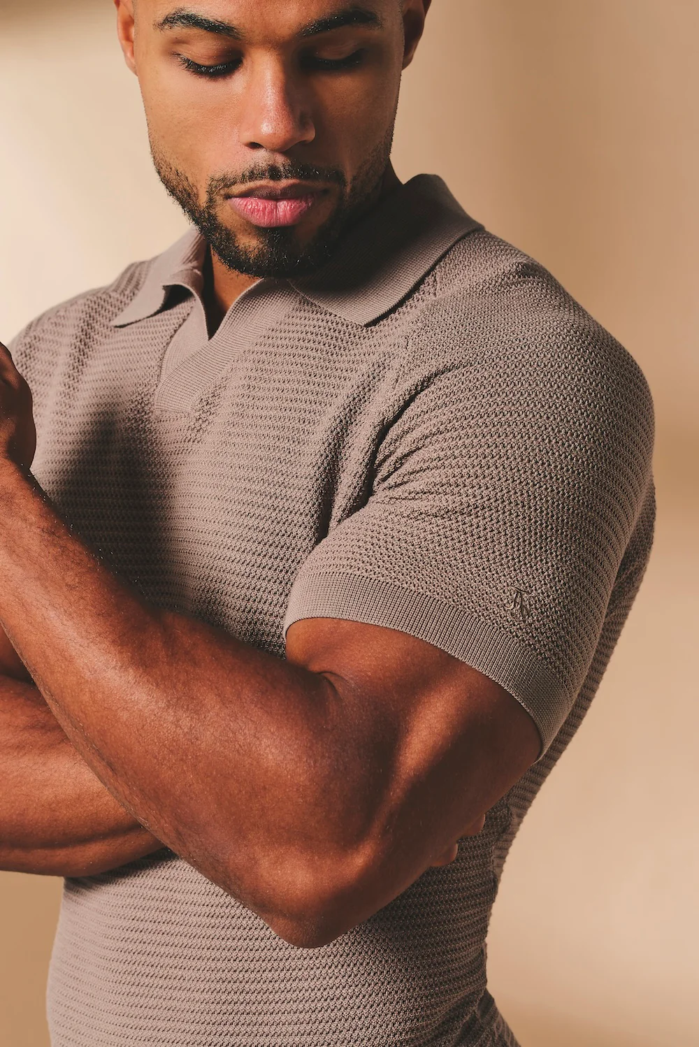 Textured Knitted Open Collar Polo Shirt in Mink - Image 4